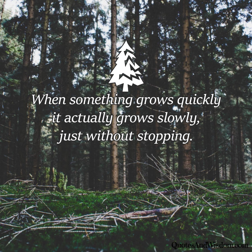 QuotesAndWisdom.com - Quote: When something grows quickly....