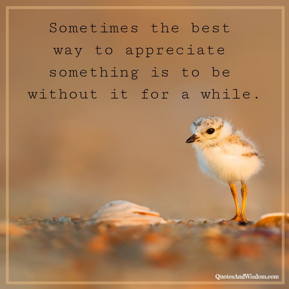 QuotesAndWisdom.com - Quote: Appreciation