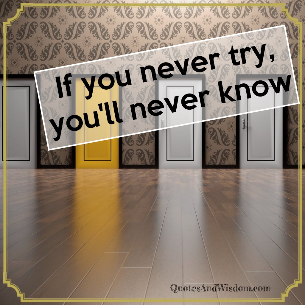 If you never try you'll never know.